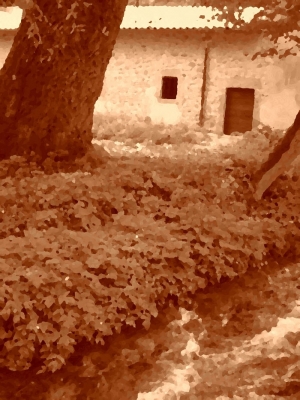 Altri elementi